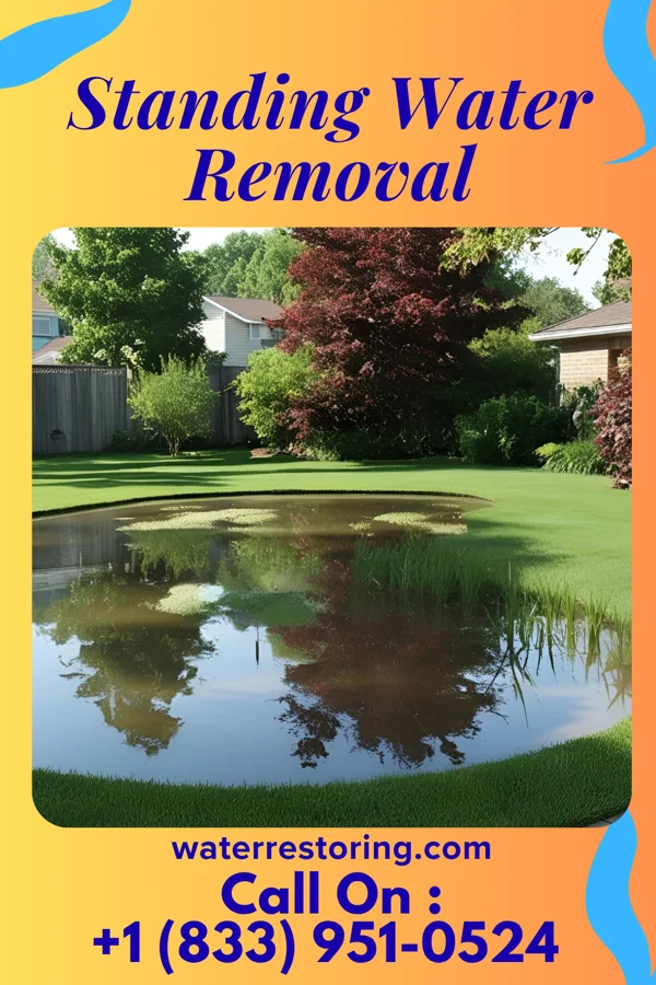 Standing Water Removal in Farmer City, IL